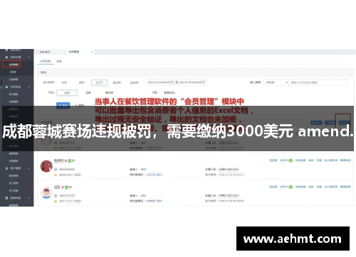 成都蓉城赛场违规被罚，需要缴纳3000美元 amend.